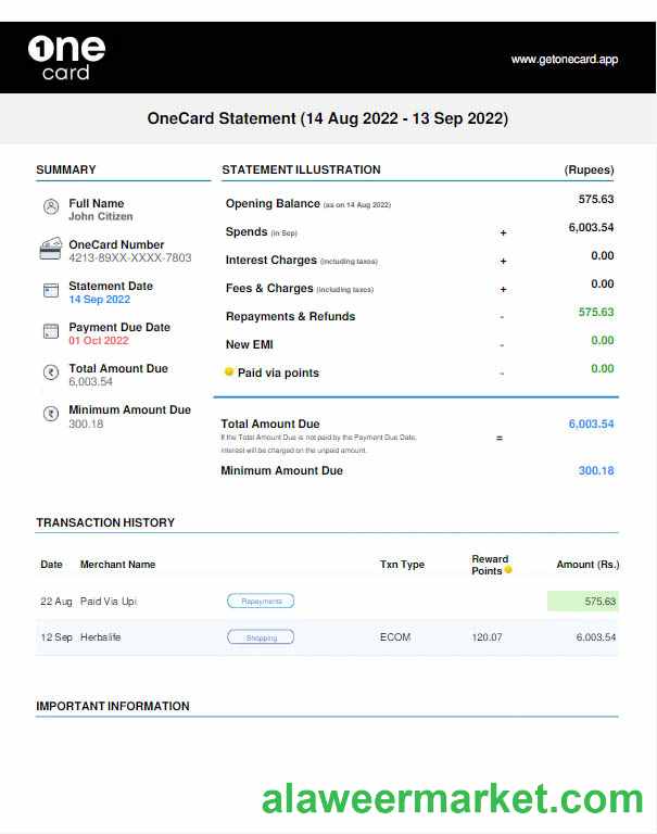 USA 1One Card statement Word and PDF template w